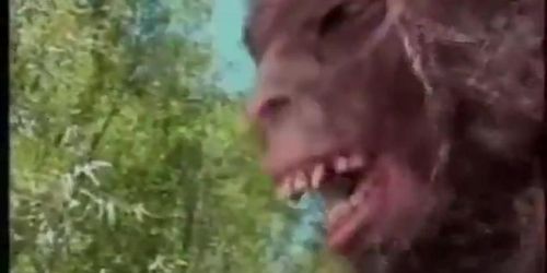 bigfoot supirse