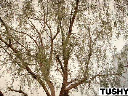 TUSHY Personal Assistant Janice Griffith Love